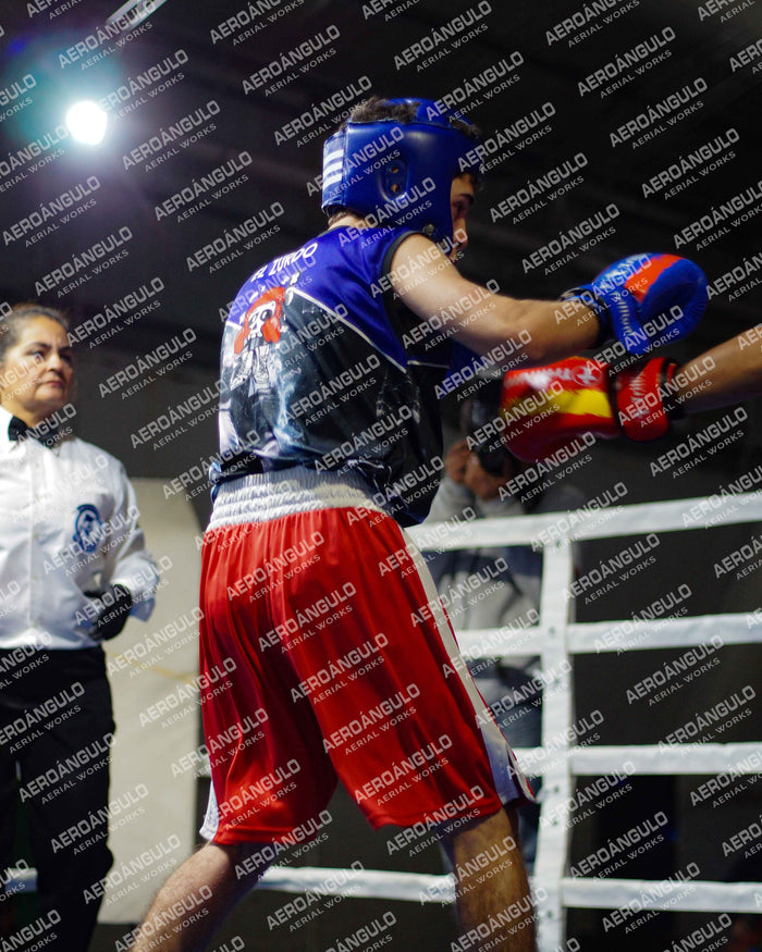 KNOCKOUT N°68
