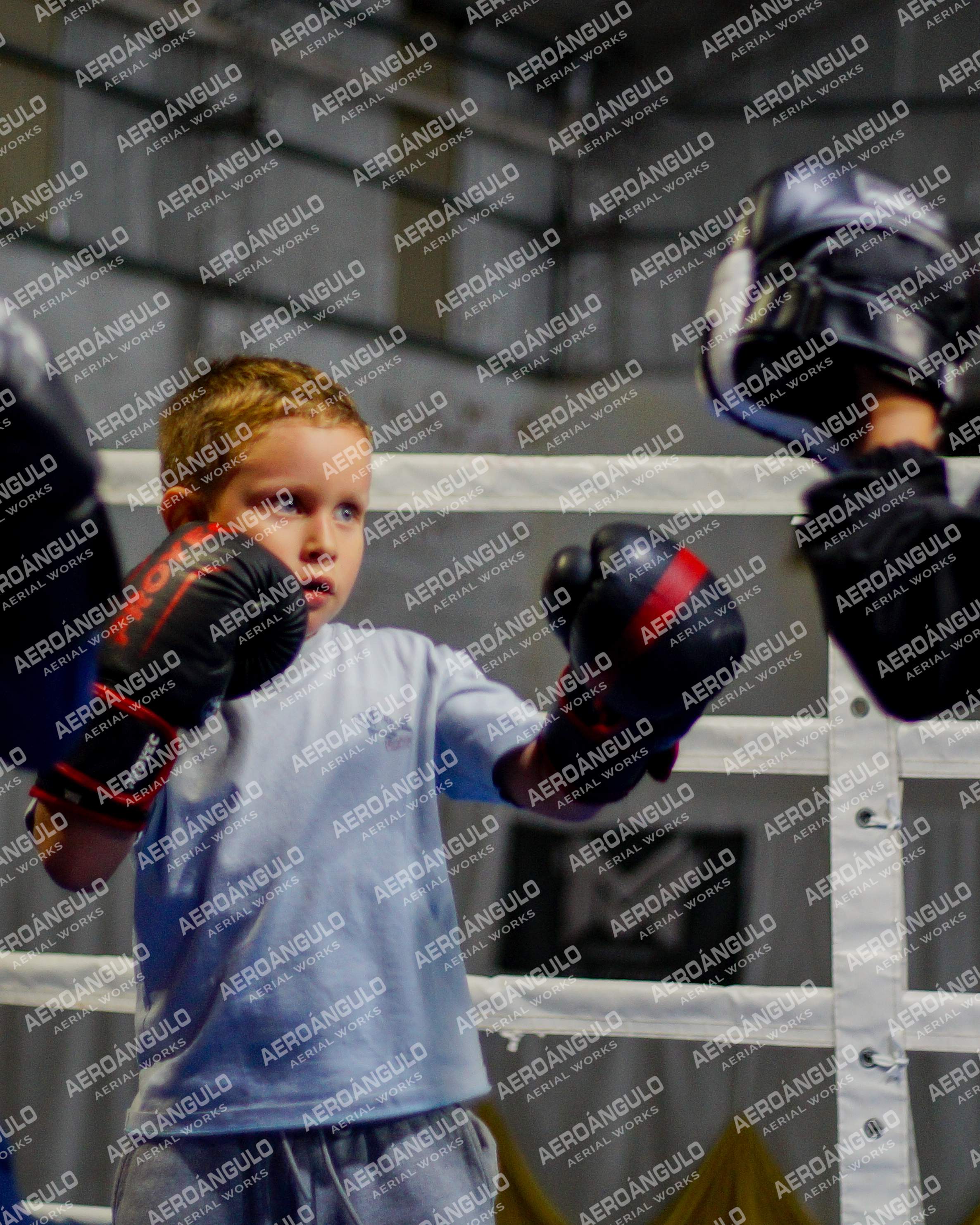 KNOCKOUT N°7