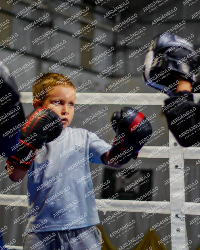 KNOCKOUT N°7