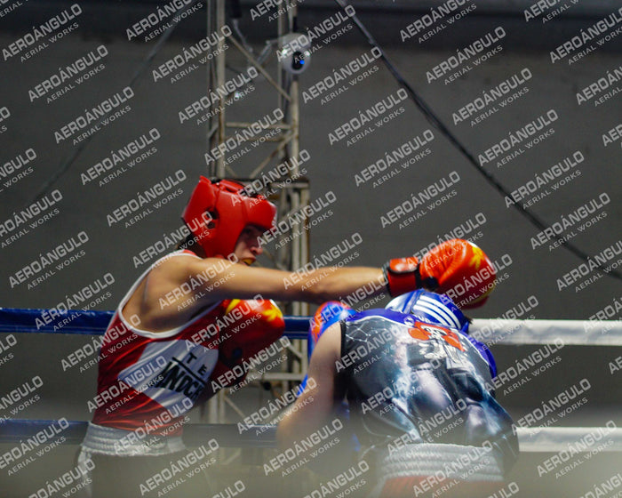 KNOCKOUT N°71