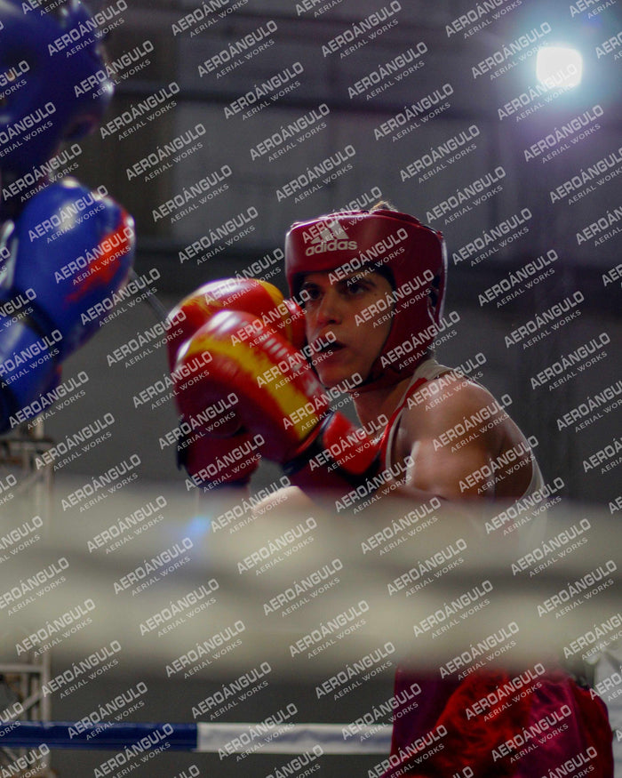 KNOCKOUT N°73