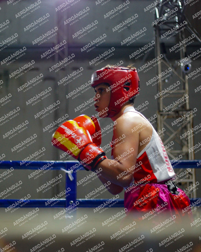 KNOCKOUT N°76