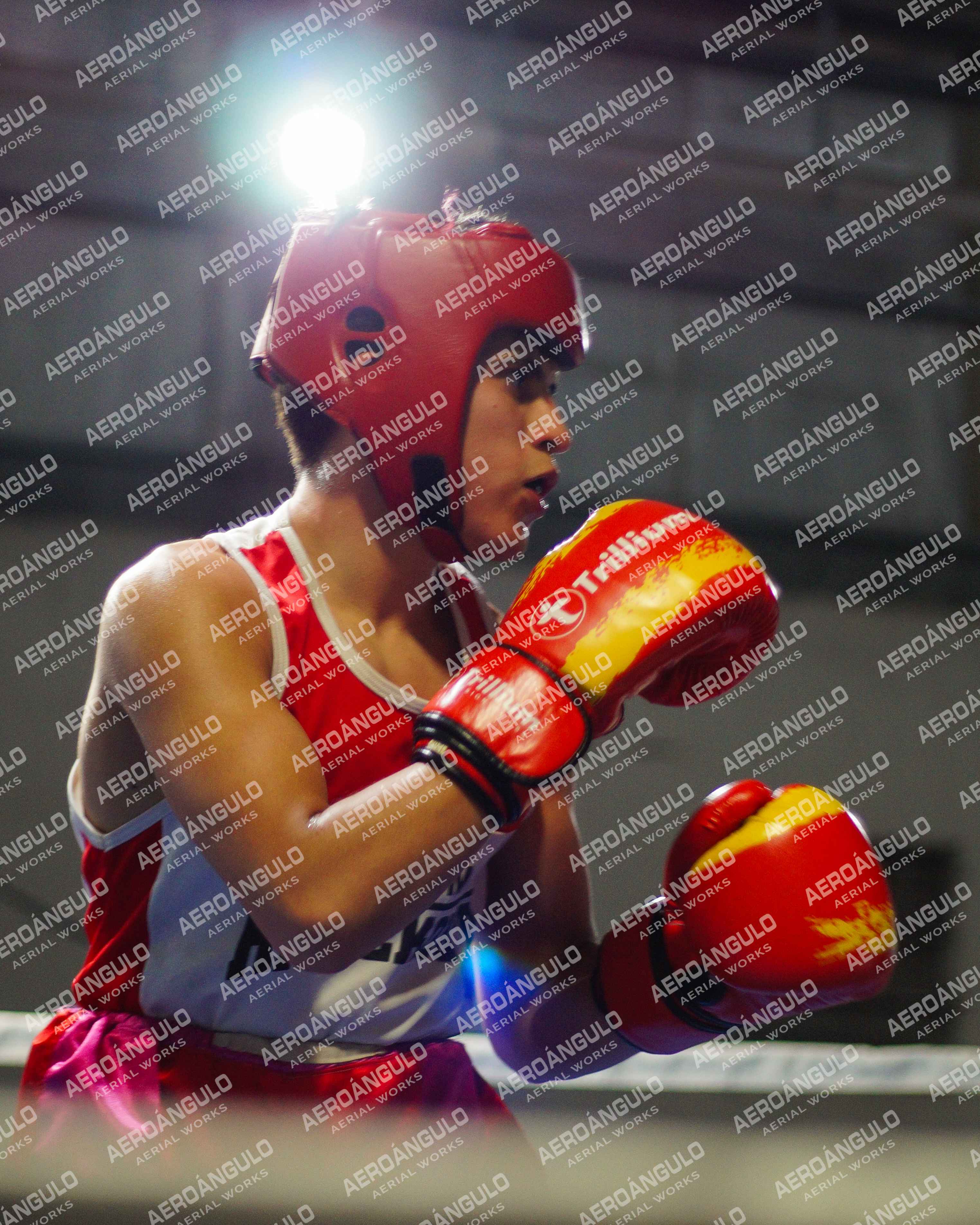 KNOCKOUT N°77