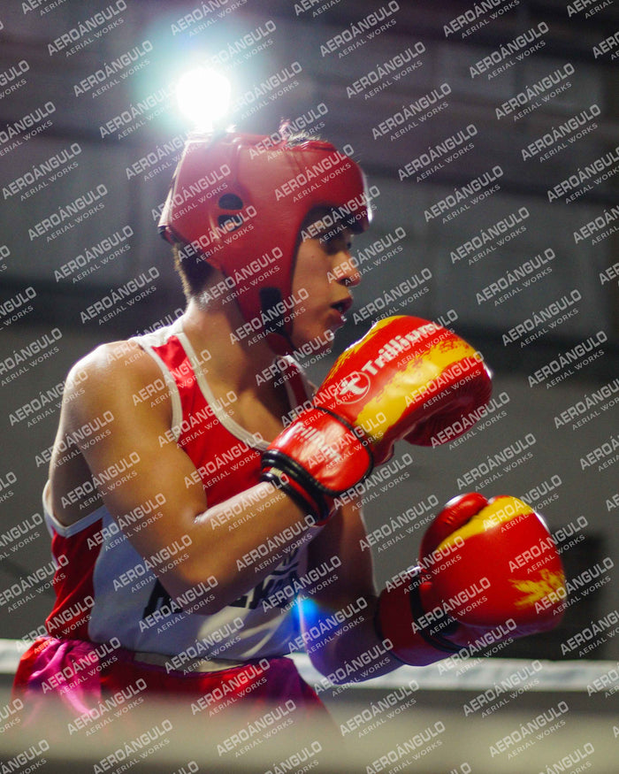 KNOCKOUT N°77