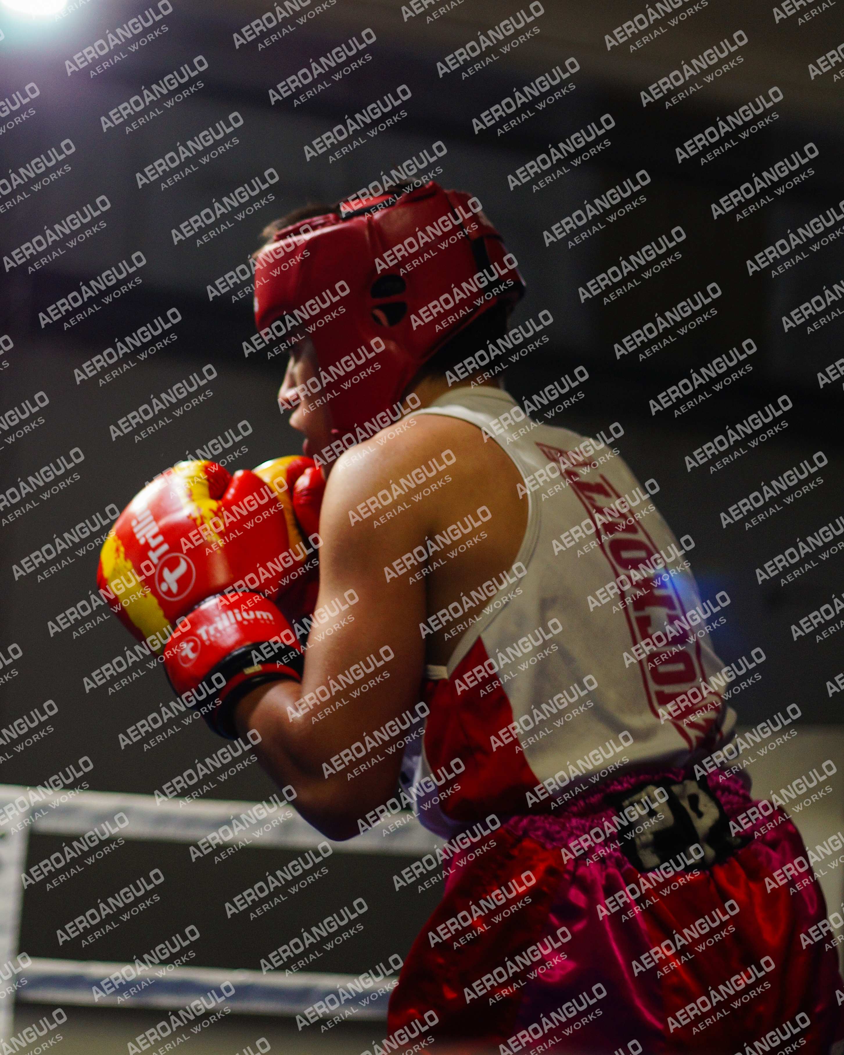 KNOCKOUT N°79
