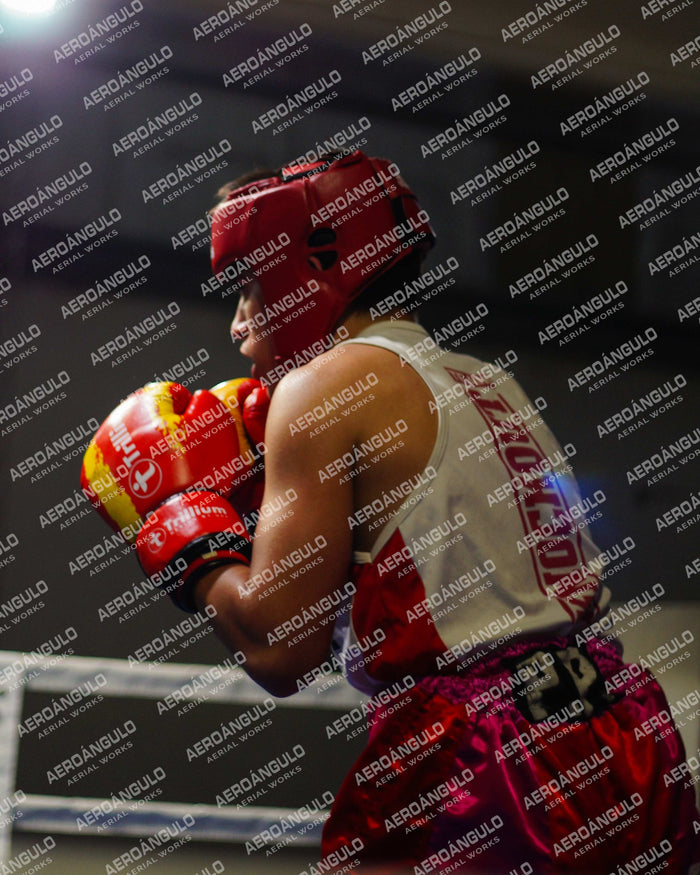 KNOCKOUT N°79