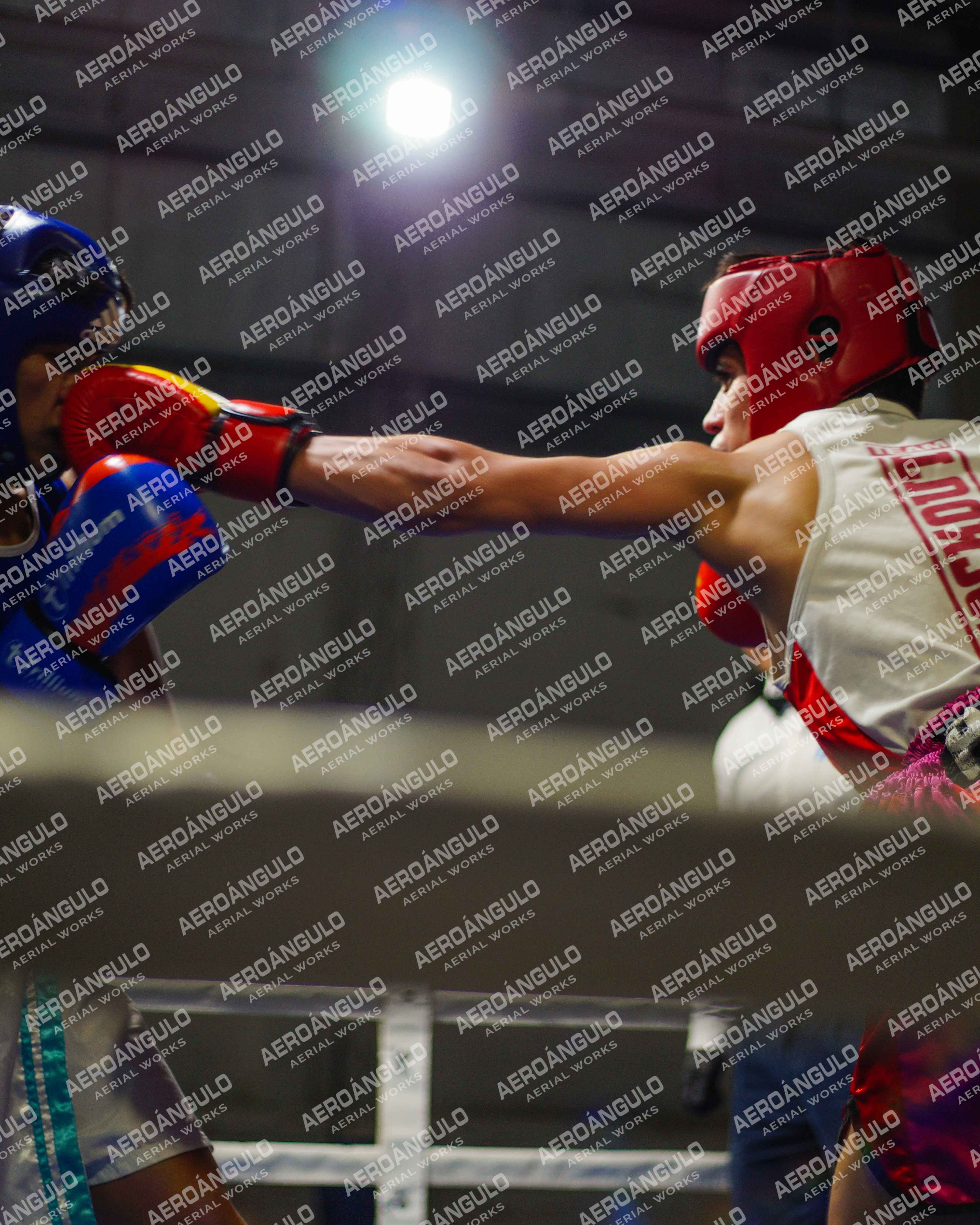 KNOCKOUT N°81