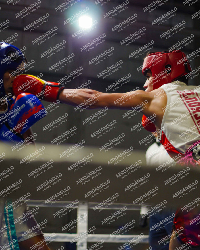 KNOCKOUT N°81