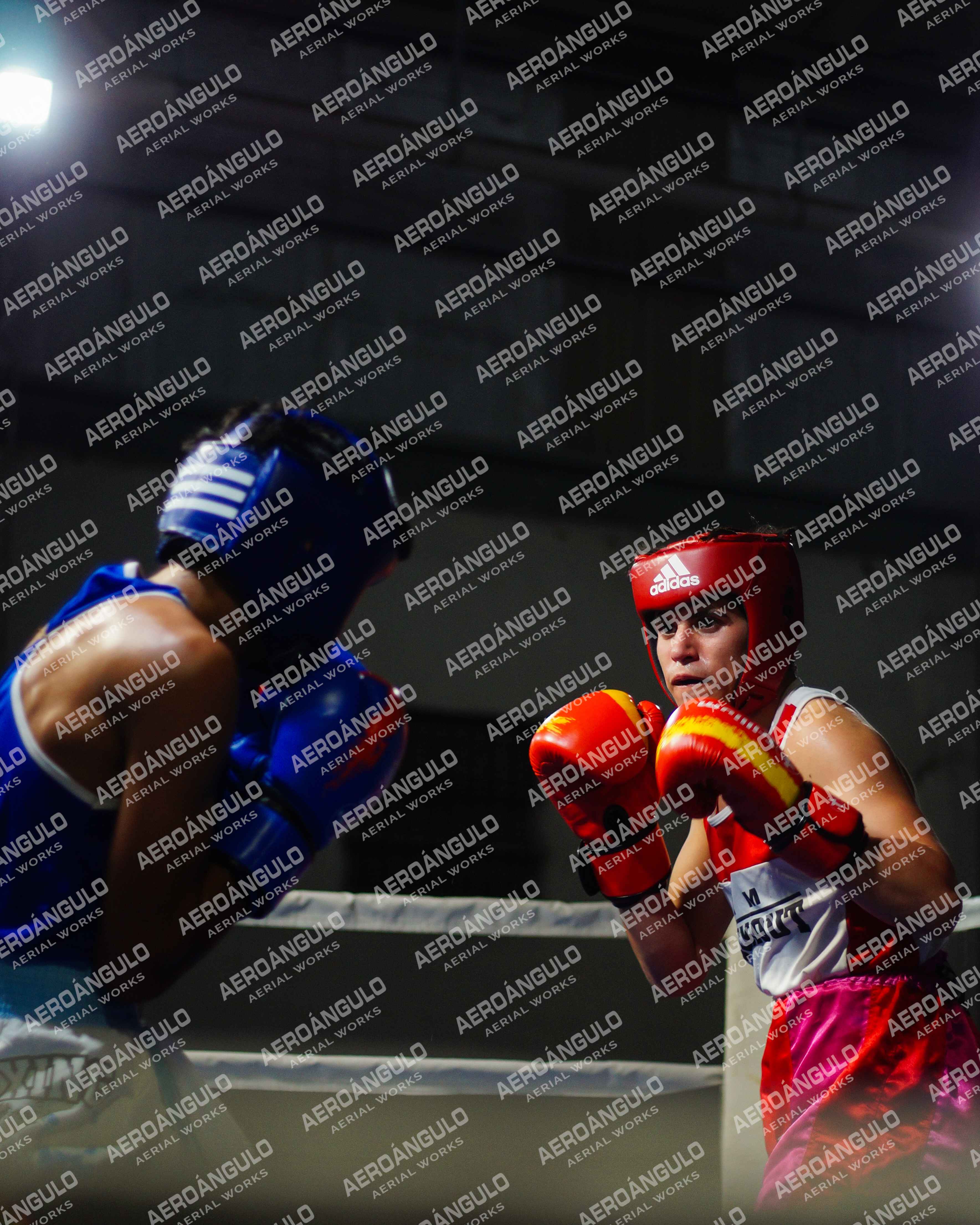 KNOCKOUT N°83