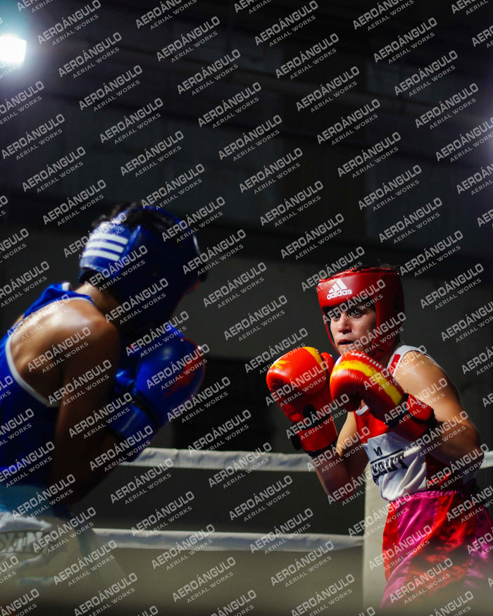 KNOCKOUT N°83