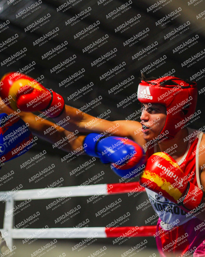 KNOCKOUT N°85