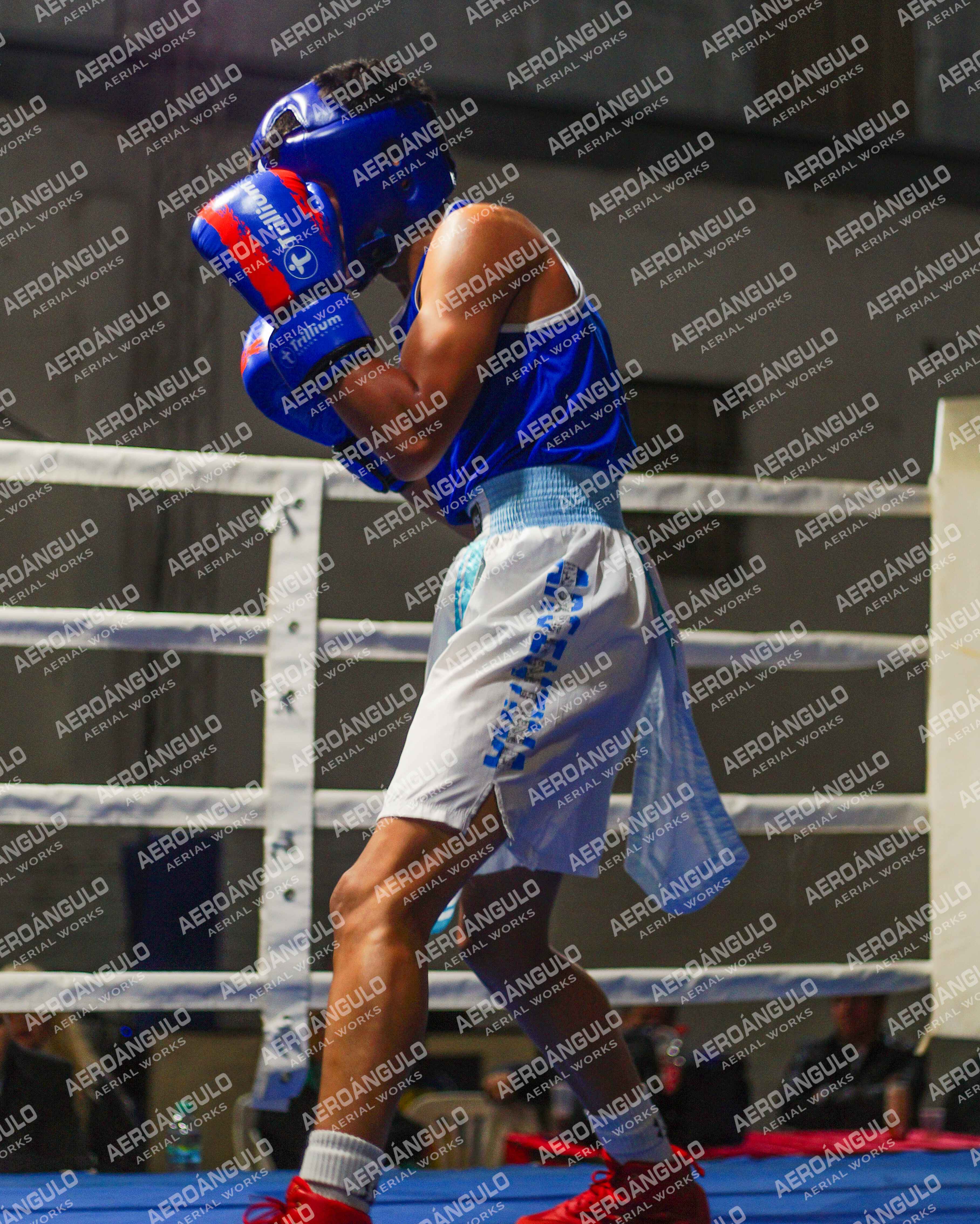 KNOCKOUT N°87