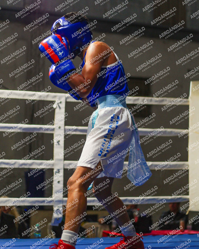 KNOCKOUT N°87