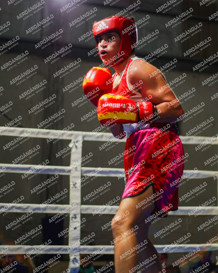 KNOCKOUT N°88