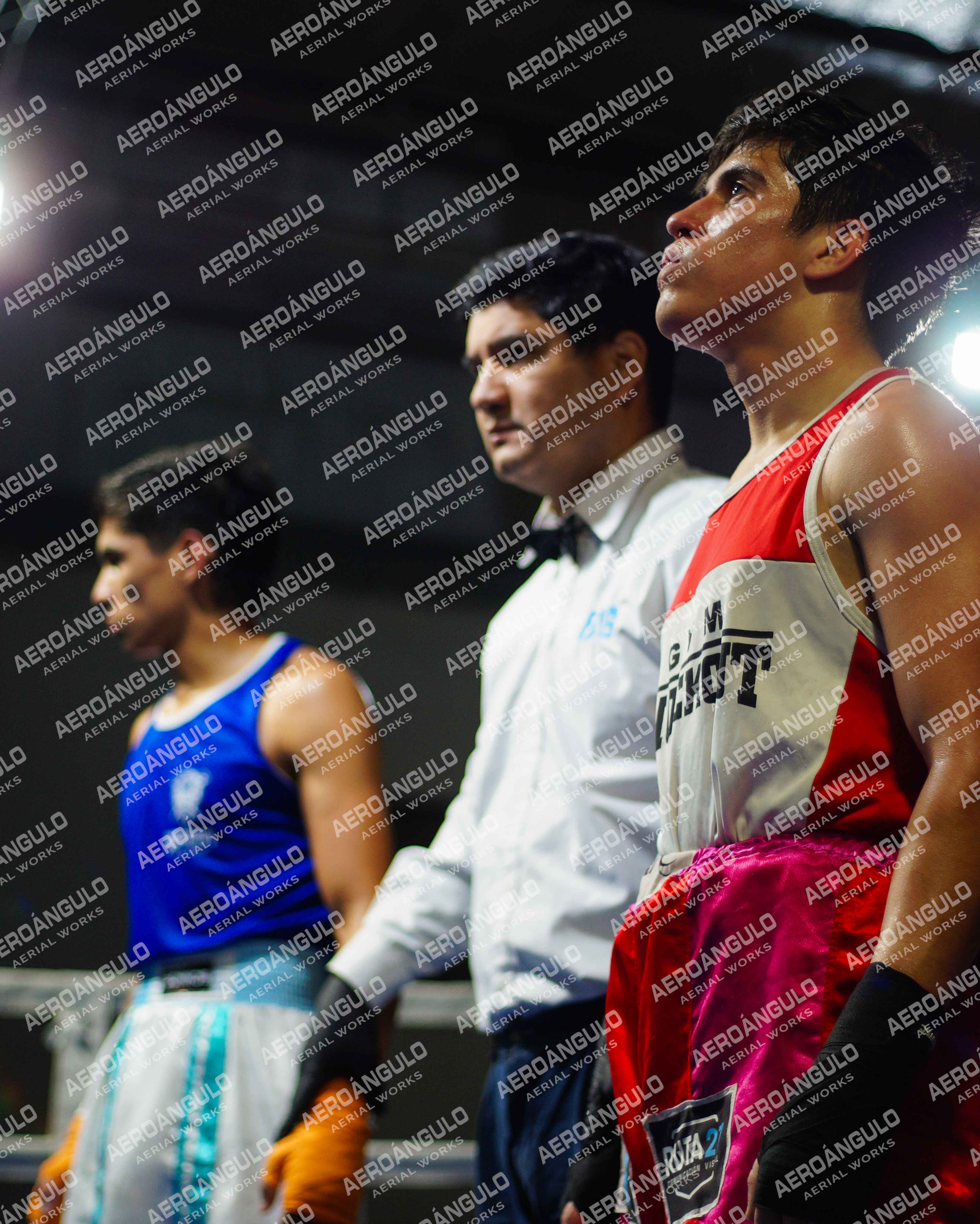 KNOCKOUT N°90