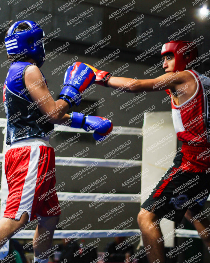 KNOCKOUT N°93