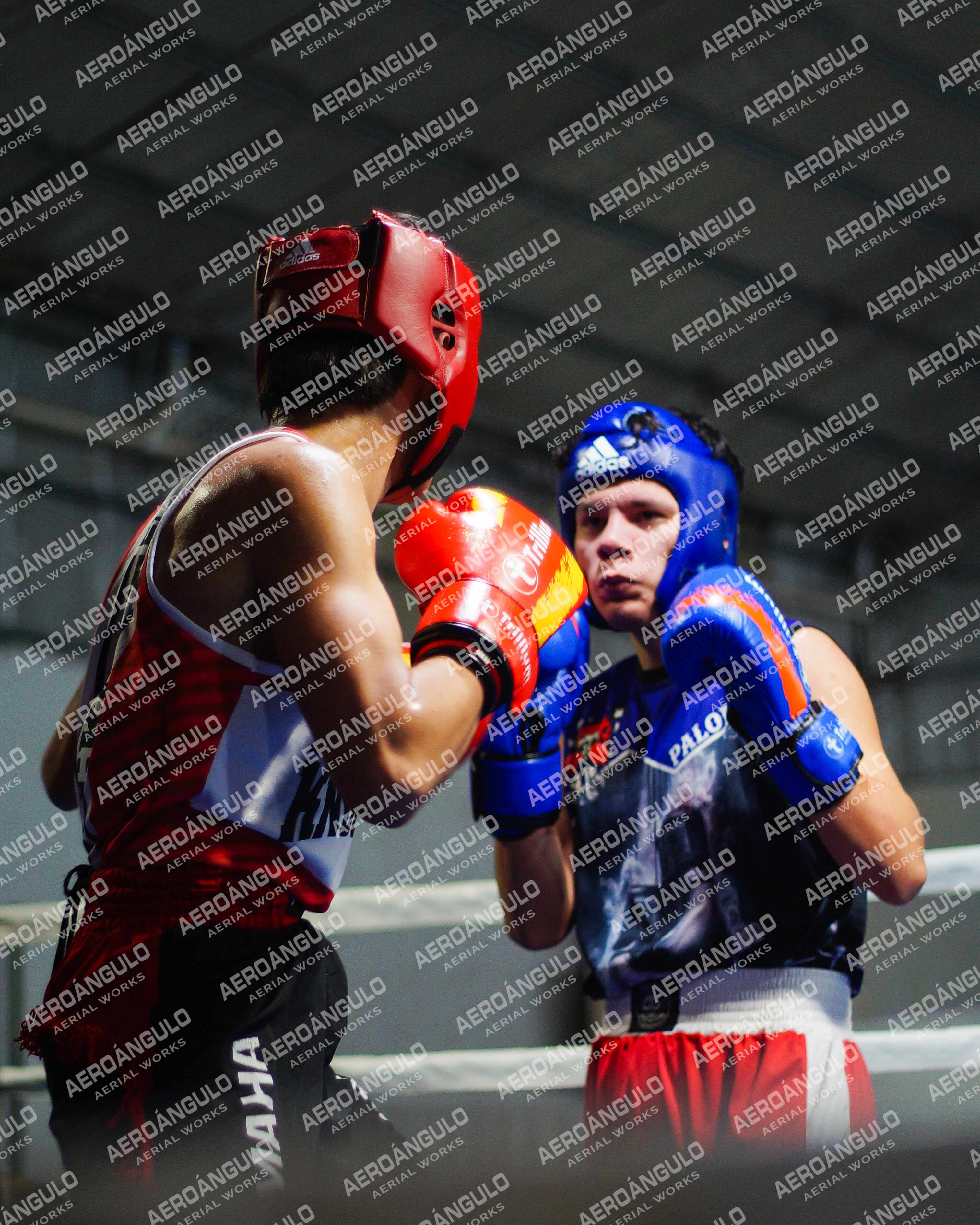 KNOCKOUT N°95