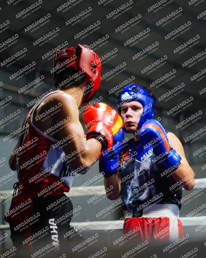 KNOCKOUT N°95