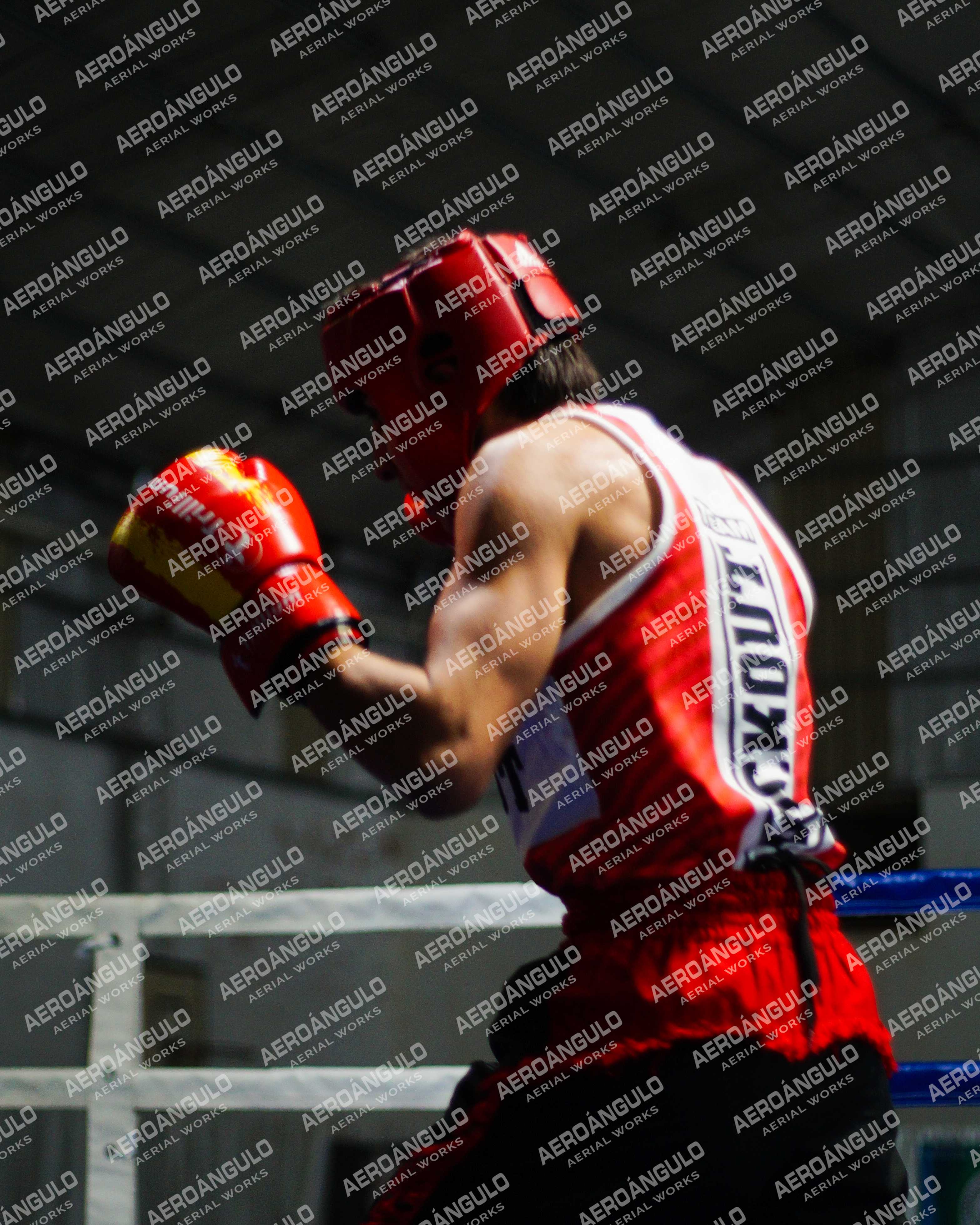 KNOCKOUT N°96