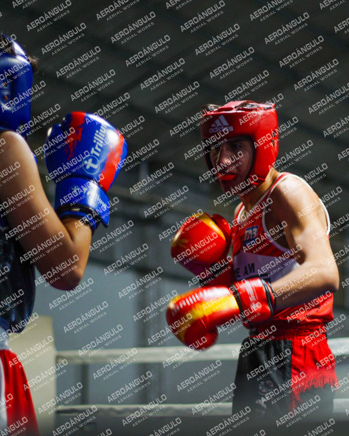 KNOCKOUT N°97