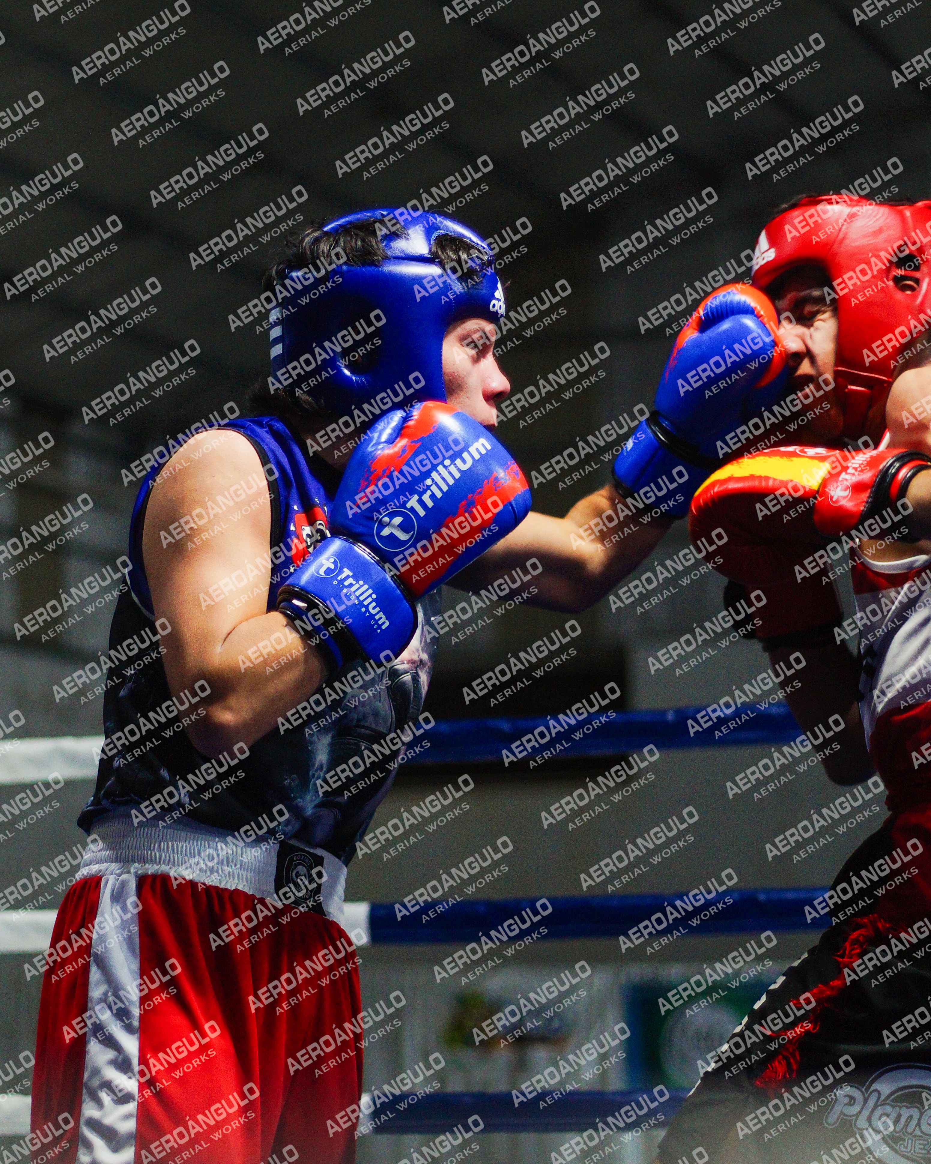 KNOCKOUT N°98