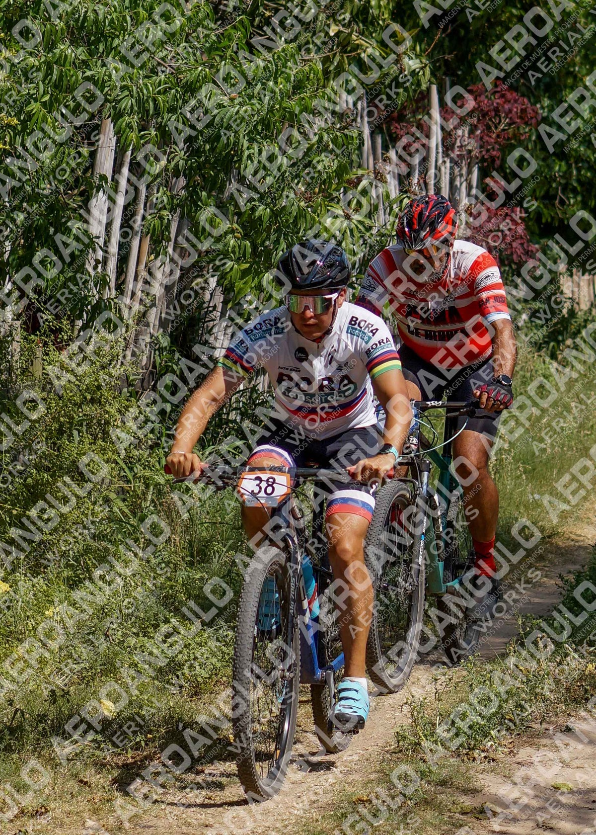 LavalleMTB N°181