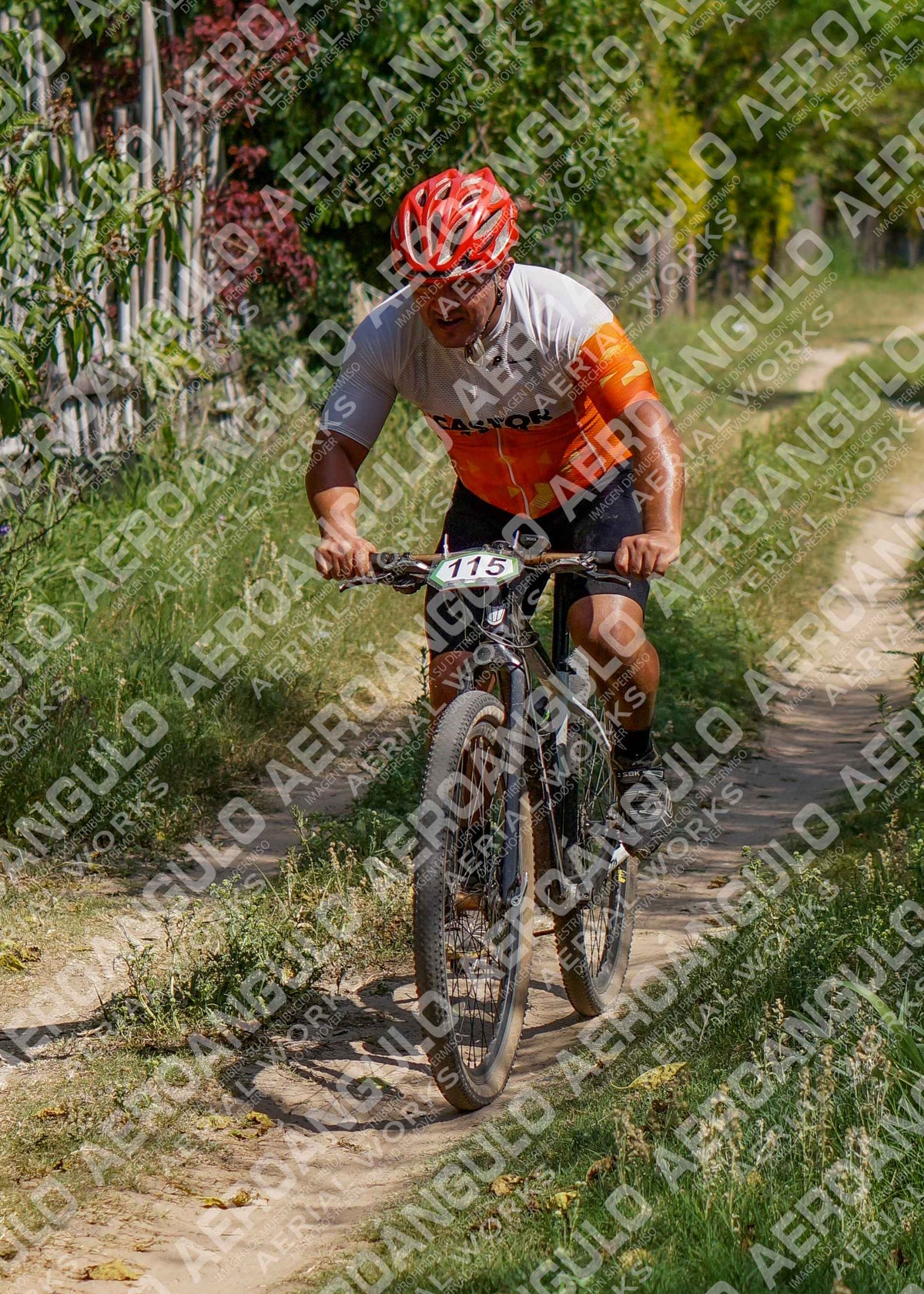 LavalleMTB N°229