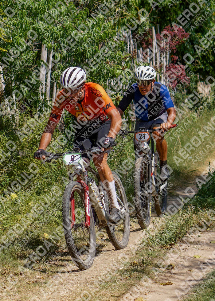 LavalleMTB N°242