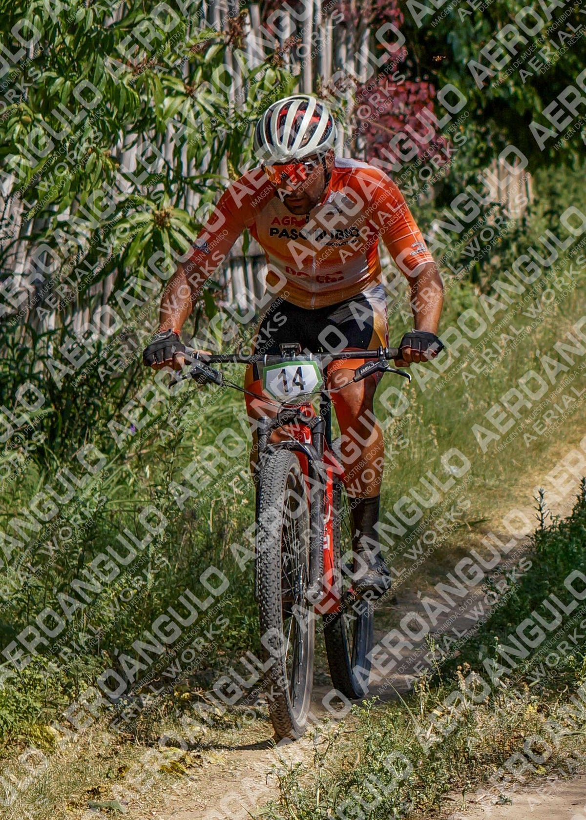 LavalleMTB N°248