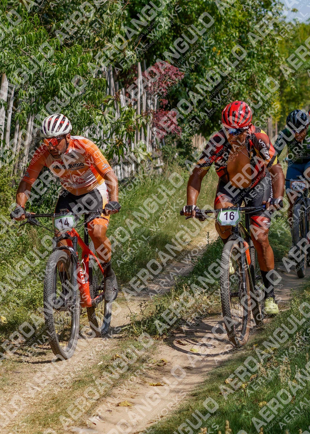 LavalleMTB N°250