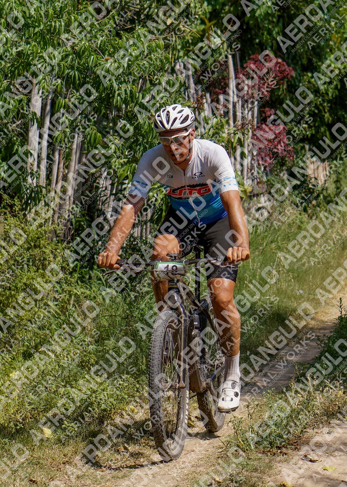 LavalleMTB N°256