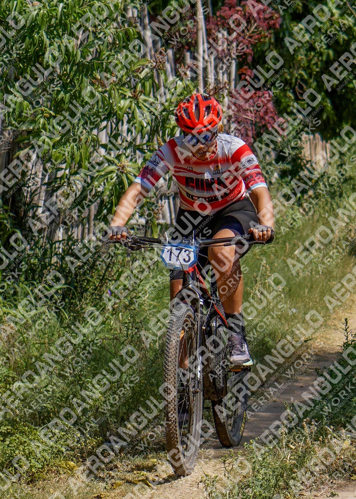 LavalleMTB N°258