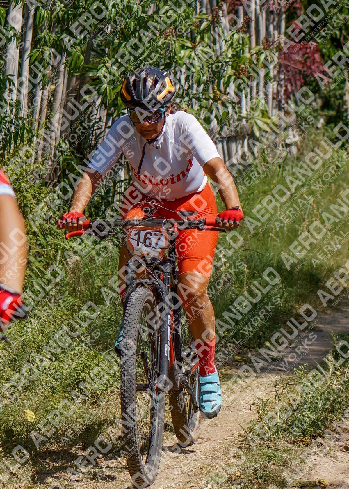 LavalleMTB N°261