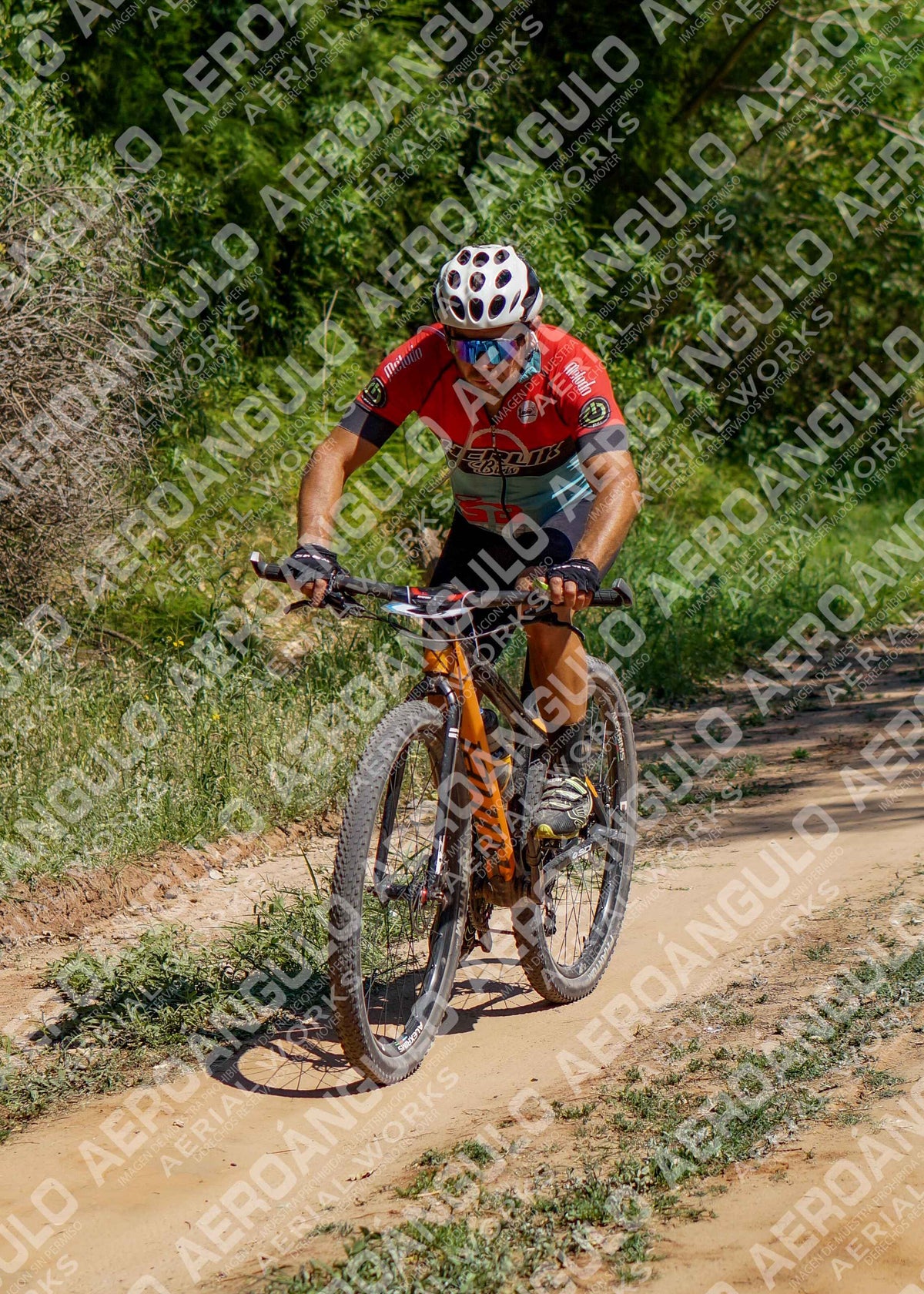 LavalleMTB N°308