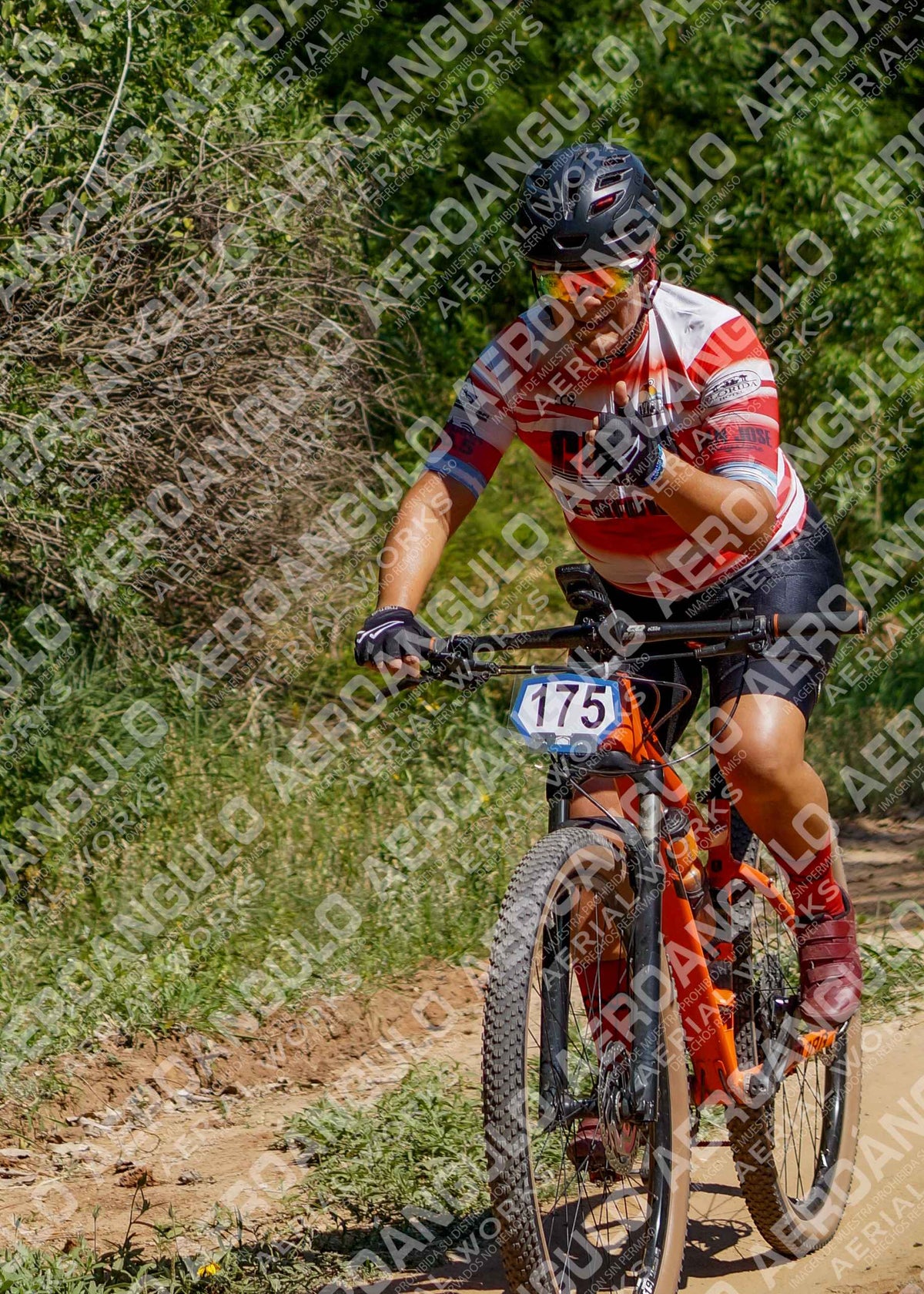 LavalleMTB N°310