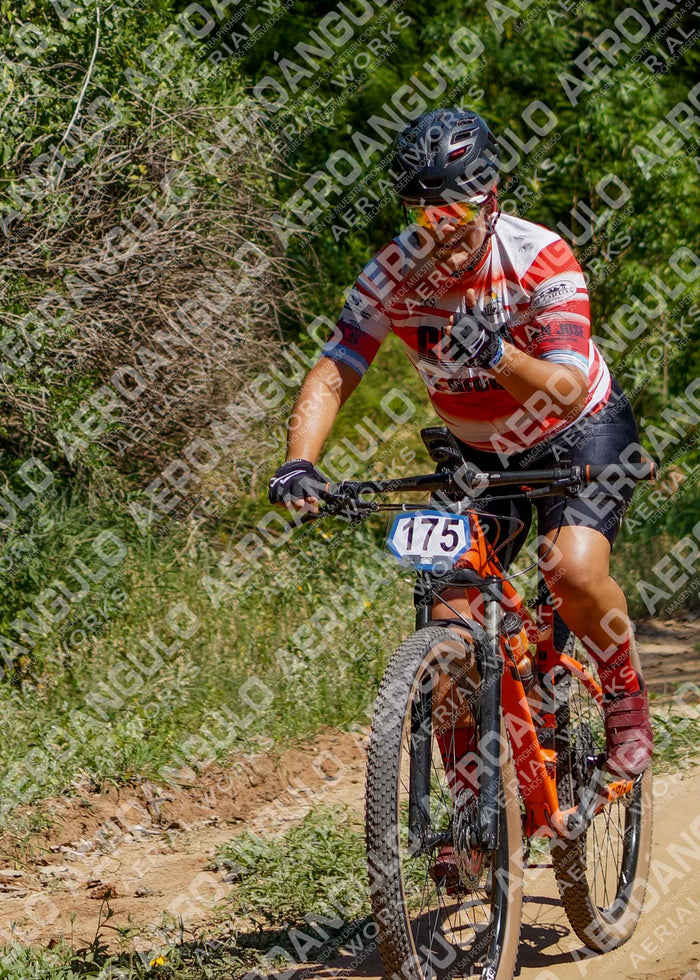 LavalleMTB N°310