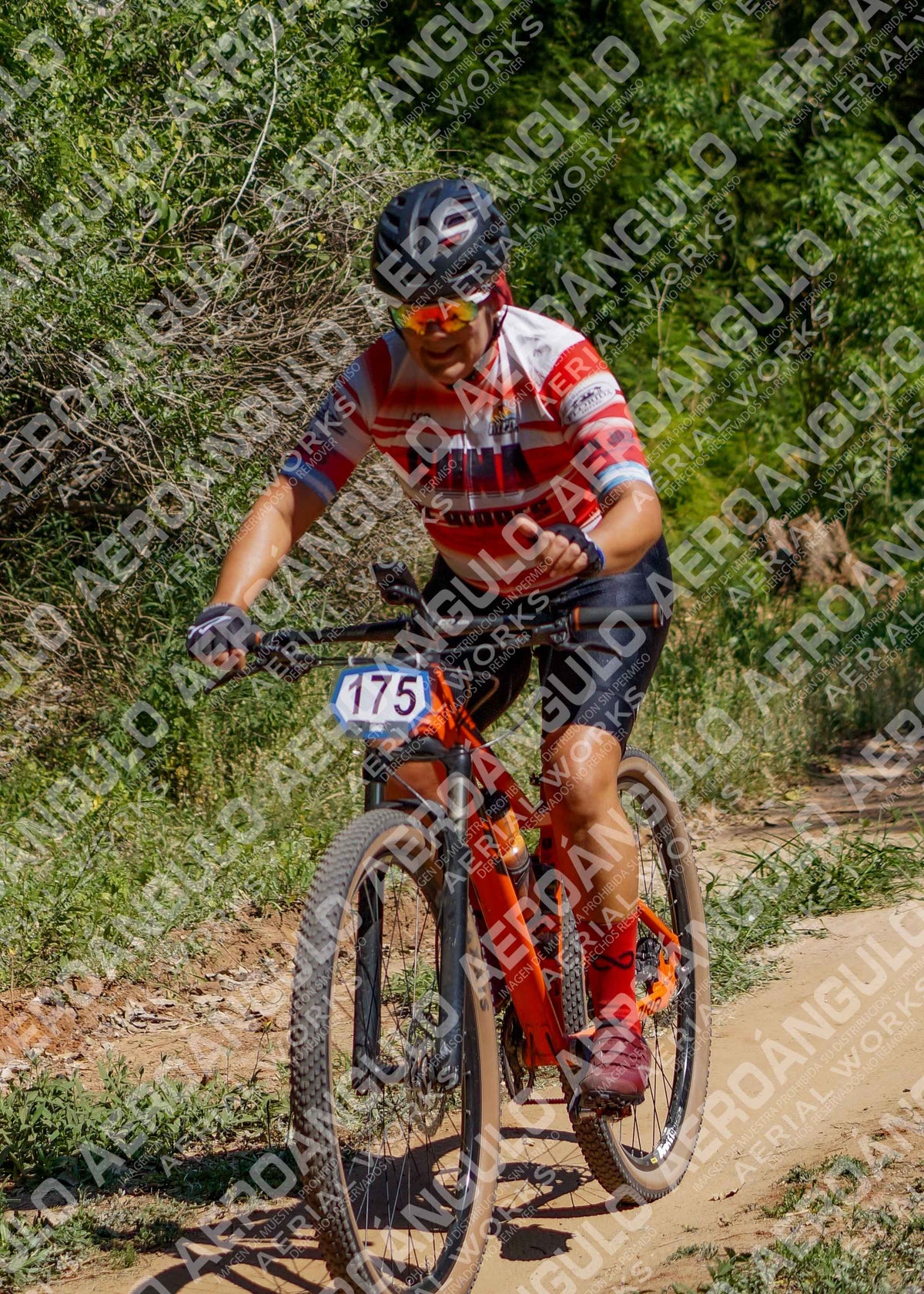 LavalleMTB N°311