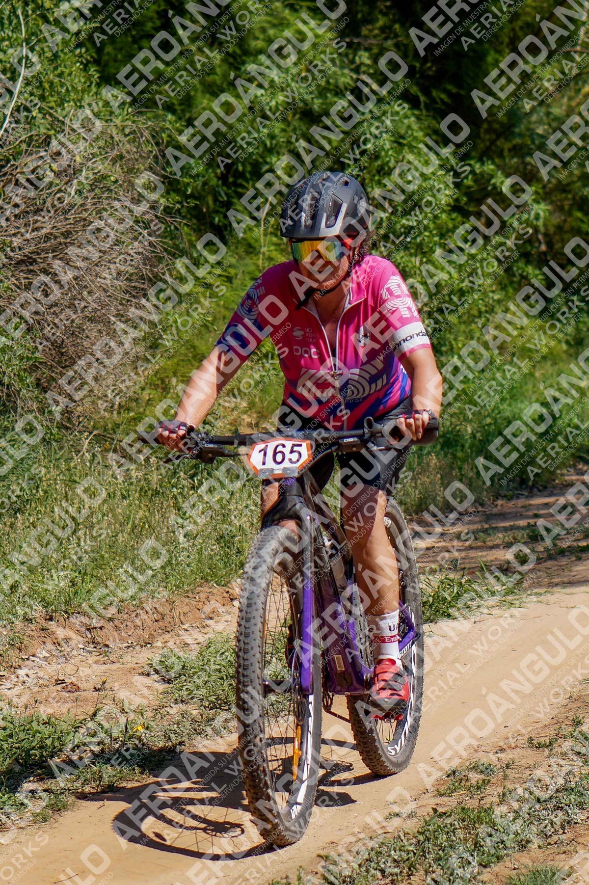 LavalleMTB N°330