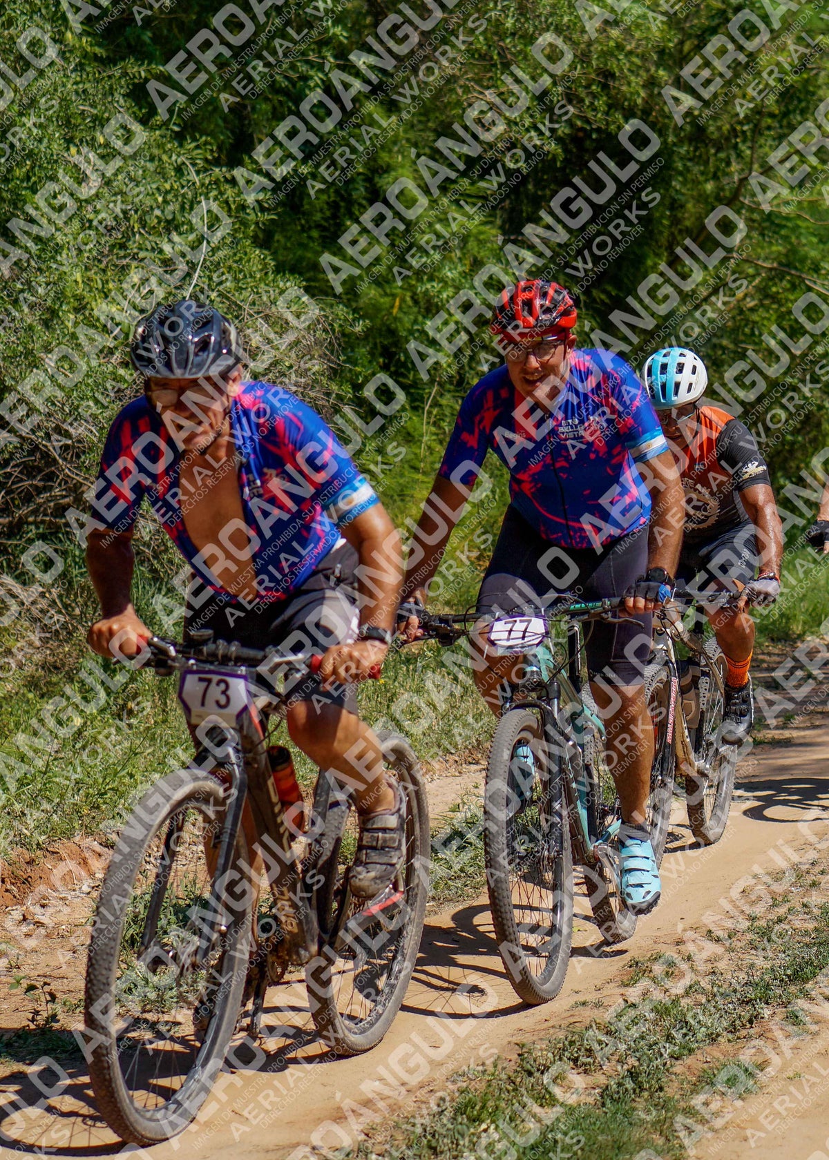 LavalleMTB N°333
