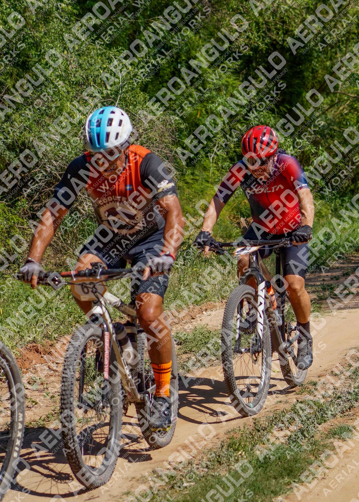 LavalleMTB N°334