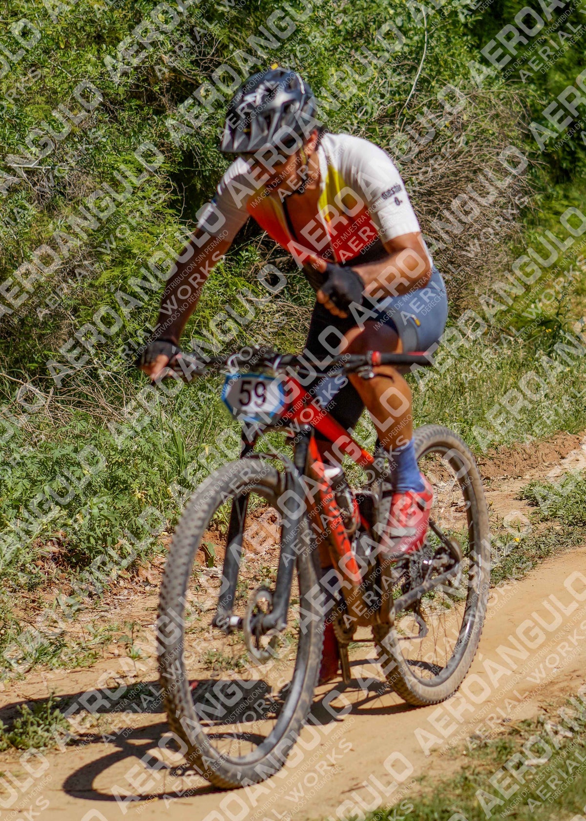 LavalleMTB N°336