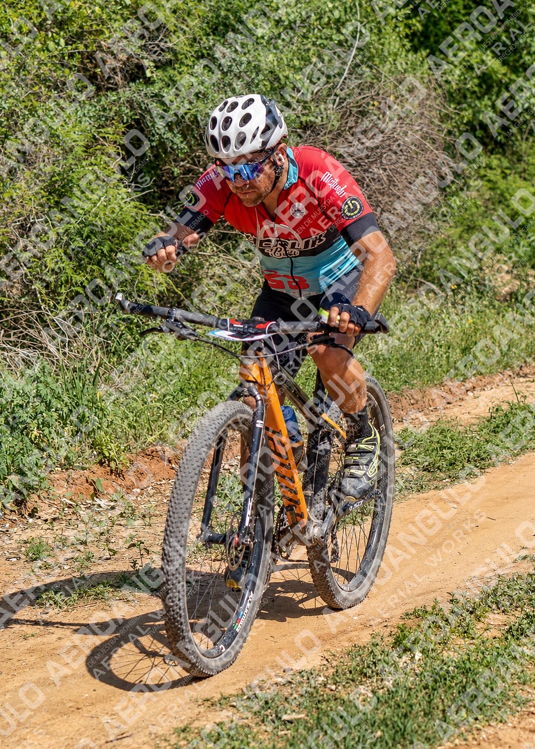 LavalleMTB N°428