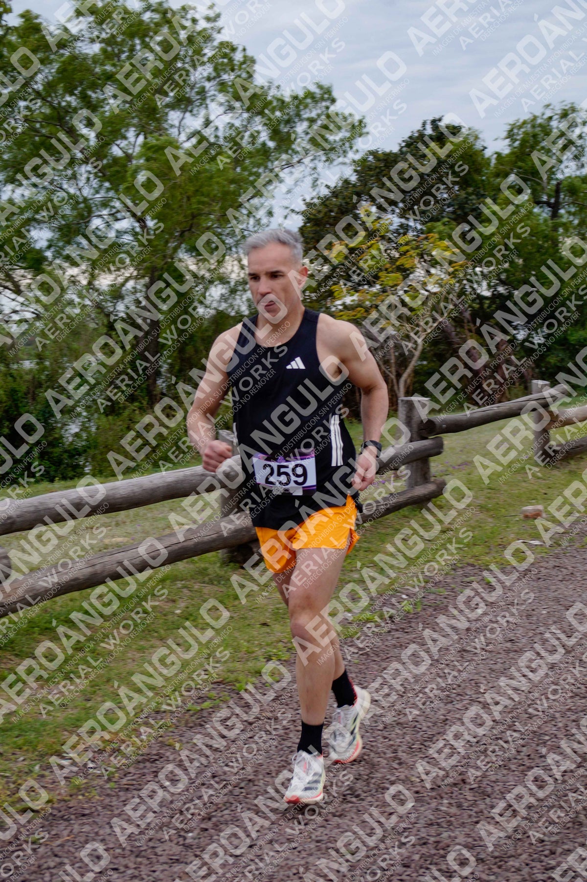 ONCOINFANTOTRAIL N°17