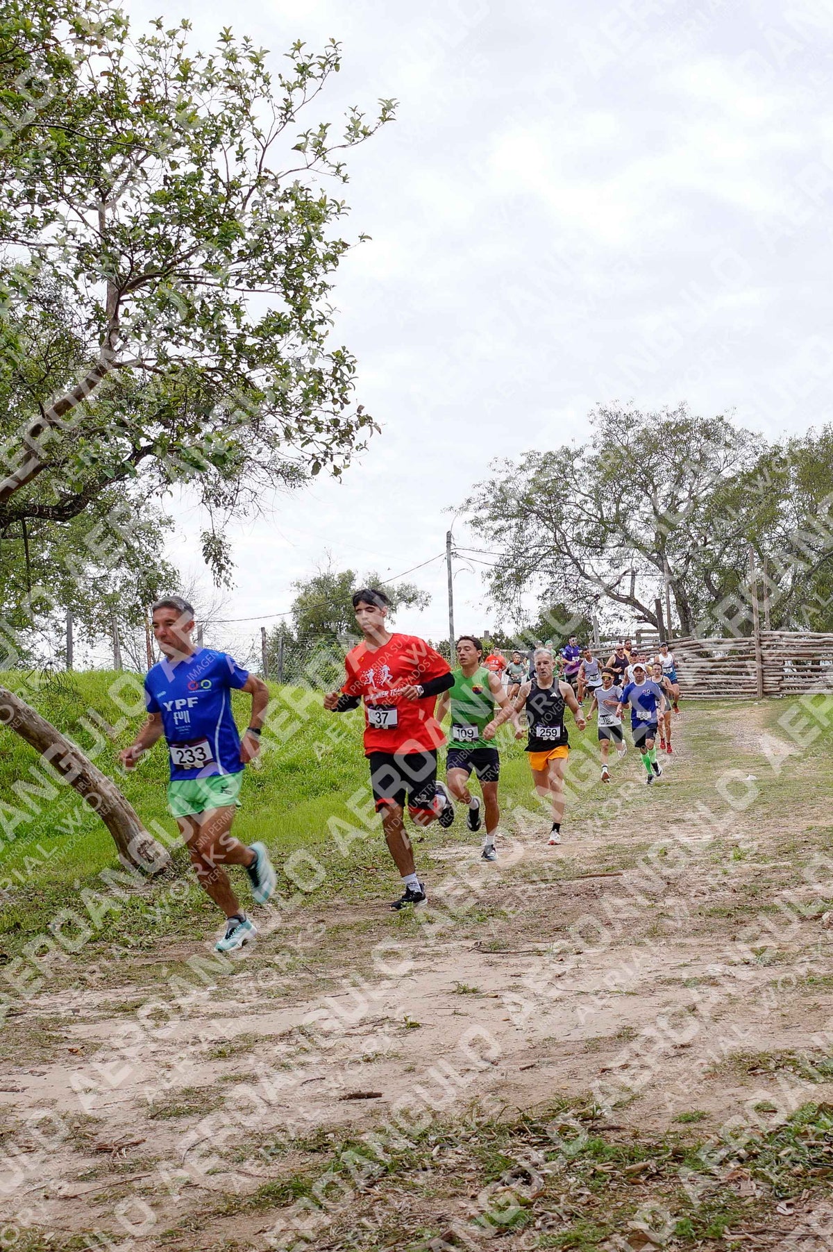 ONCOINFANTOTRAIL N°20