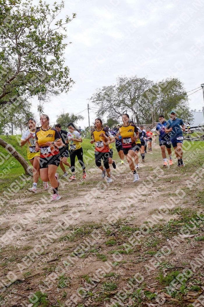 ONCOINFANTOTRAIL N°33