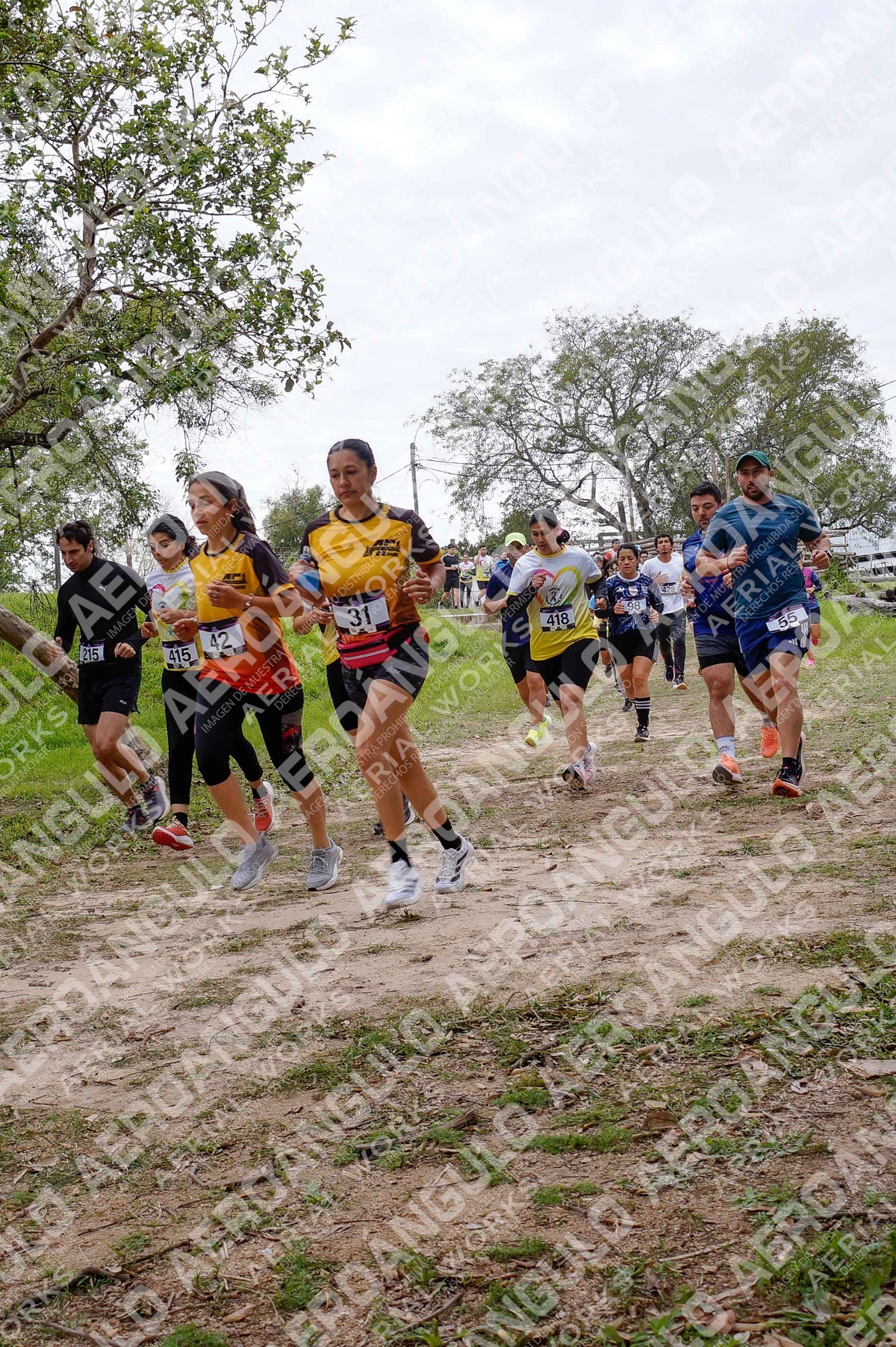 ONCOINFANTOTRAIL N°34