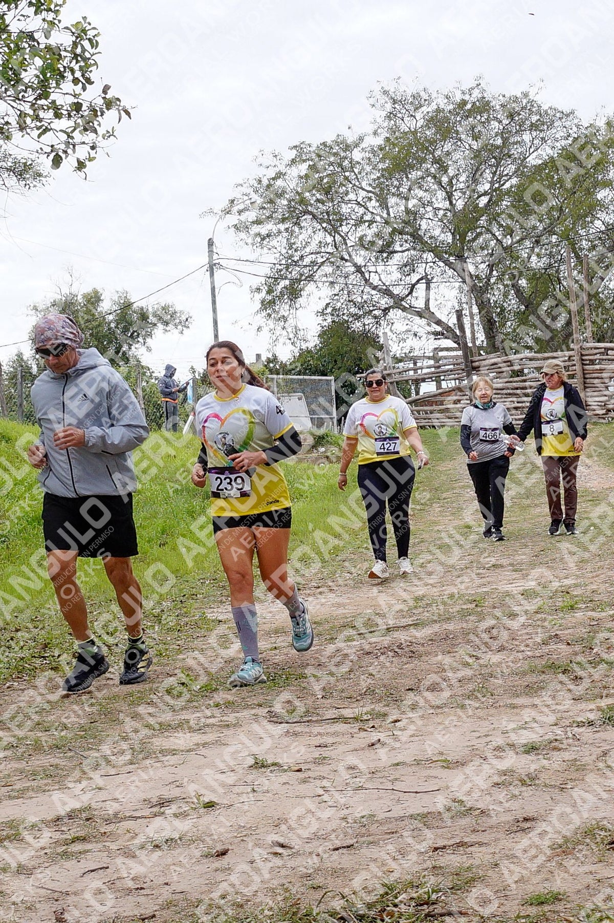 ONCOINFANTOTRAIL N°46