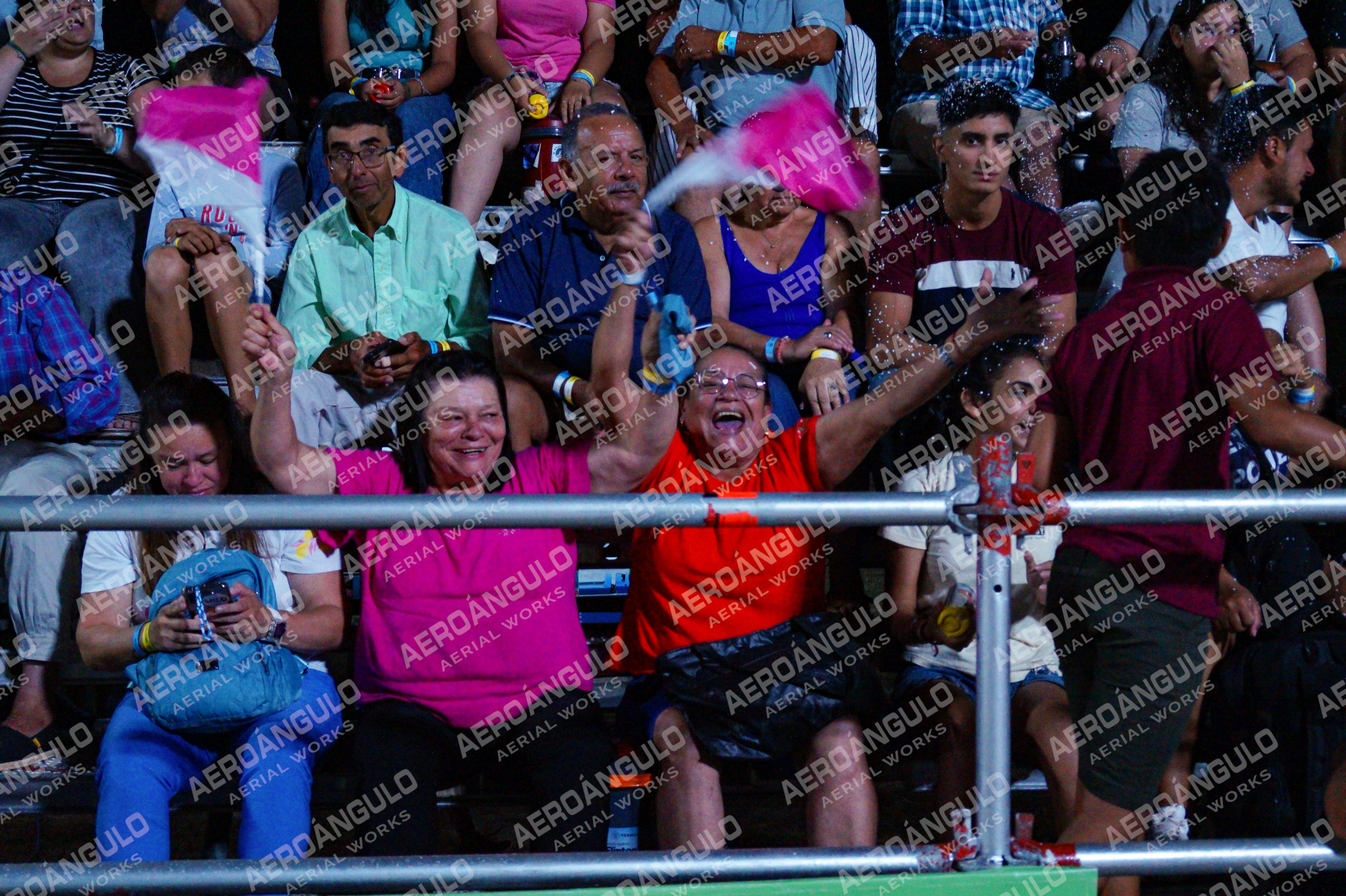 PUBLICO N°12