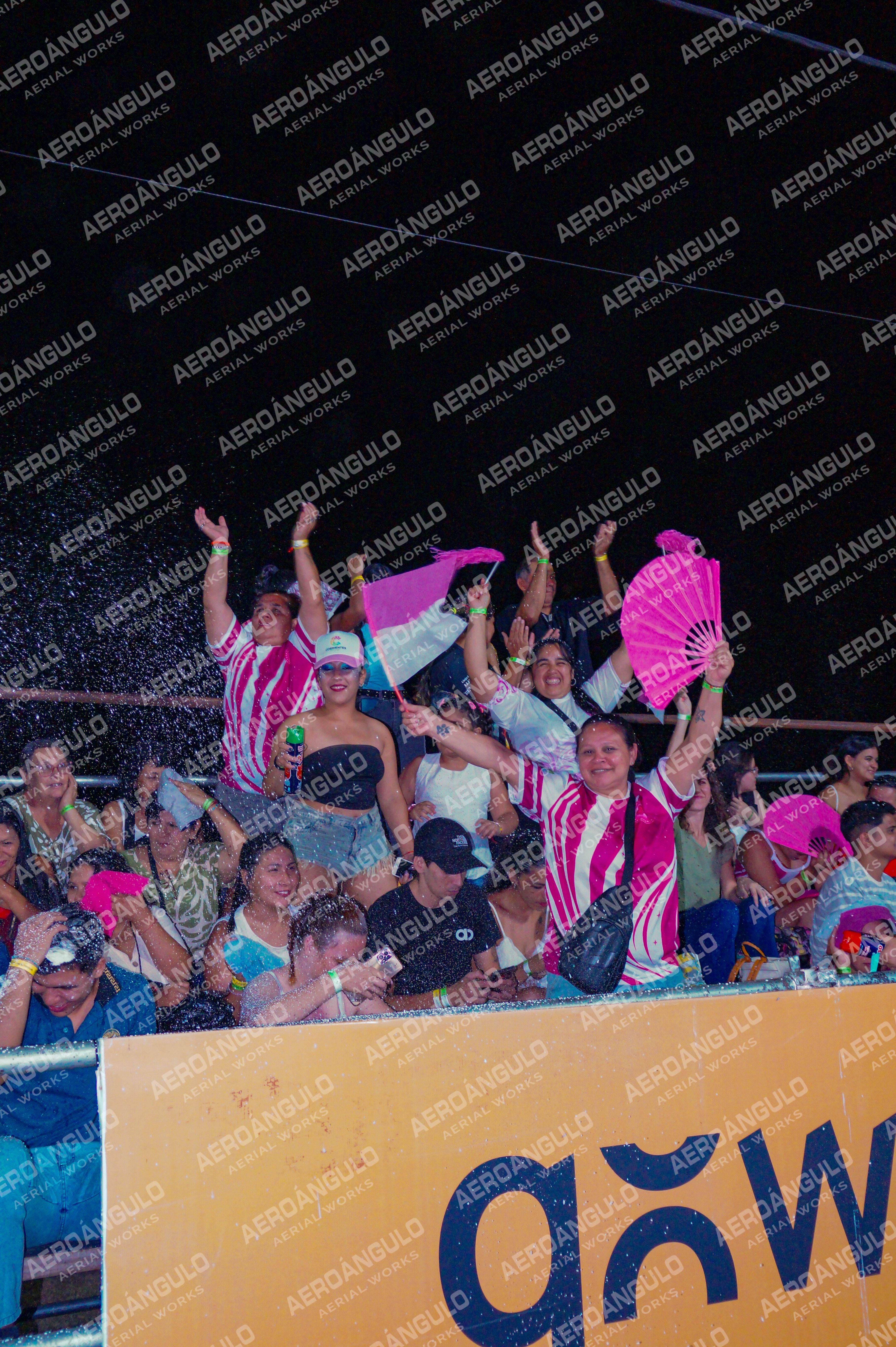 PUBLICO N°8