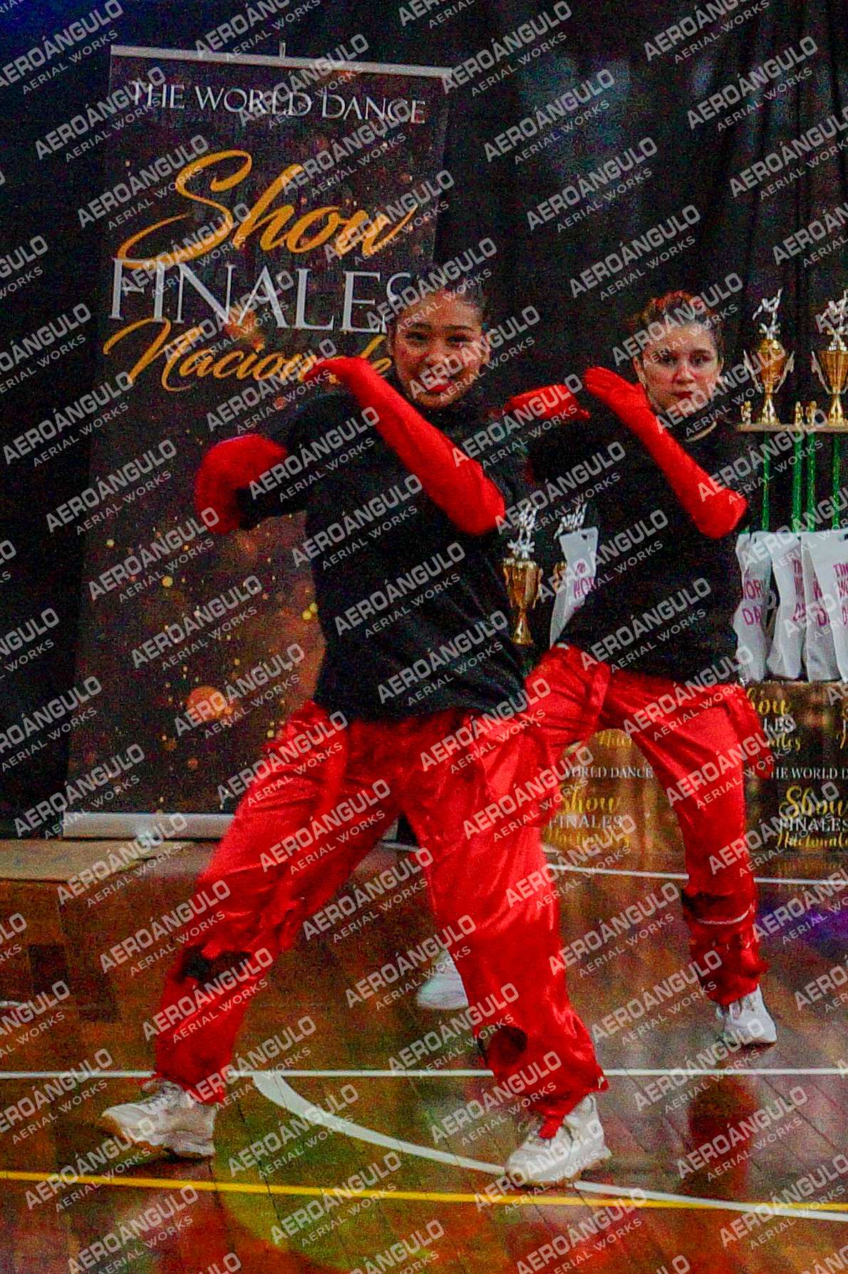 TheWorldDance N°1001